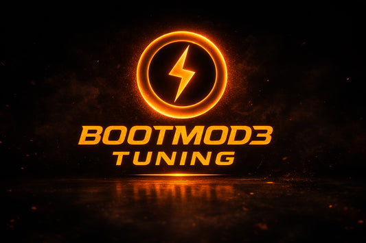 Custom Tune for N55-EWG